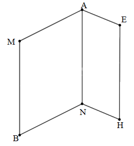 Giải bài 31: Hình bình hành, hình thoi (tiết 1) trang 105 vở bài tập Toán 4 - Kết nối tri thức với cuộc sống 4