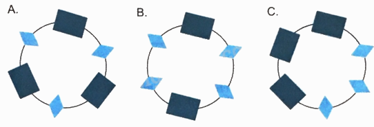 Giải bài 31: Hình bình hành, hình thoi (tiết 3) trang 108 vở bài tập Toán 4 - Kết nối tri thức với cuộc sống 2