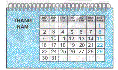 Giải bài 31: Thực hành và trải nghiệm xem đồng hồ, xem lịch (tiết 2) trang 116 Vở bài tập toán 2 - Kết nối tri thức với cuộc sống 1