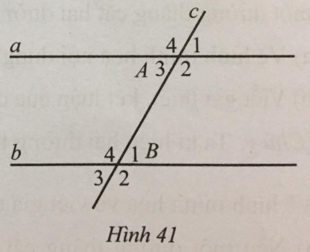 Giải Bài 31 trang 114 sách bài tập toán 7 tập 1 - Cánh diều 1