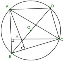 Giải bài 31 trang 86 SBT toán 10 - Cánh diều 1