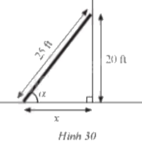 Giải bài 31 trang 91 sách bài tập toán 9 - Cánh diều tập 1 1