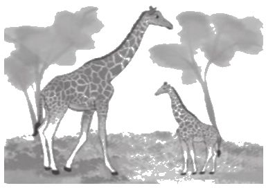 Giải bài 33: Chia một số thập phân cho một số tự nhiên trang 79, 80, 81 vở bài tập Toán 5 - Cánh diều 4