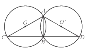 Giải bài 33 trang 116 sách bài tập toán 9 - Cánh diều tập 1 2