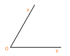 Giải bài 33 trang 96 sách bài tập Toán 6 – Cánh Diều Tập 2 3