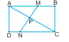 Giải bài 34: Ôn tập hình phẳng (tiết 1) trang 126 Vở bài tập toán 2 - Kết nối tri thức với cuộc sống 3 1