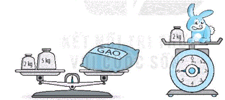 Giải bài 35: Ôn tập đo lường (tiết 1) trang 129 Vở bài tập toán 2 - Kết nối tri thức với cuộc sống 3