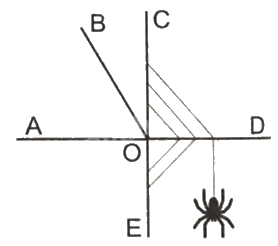 Giải bài 35: Ôn tập hình học (tiết 1) trang 124 vở bài tập Toán 4 - Kết nối tri thức với cuộc sống 2
