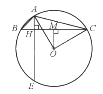 Giải bài 36 trang 117 sách bài tập toán 9 - Cánh diều tập 1 2