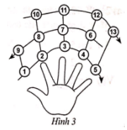 Giải Bài 36 trang 15 sách bài tập Toán 6 - Cánh diều 2