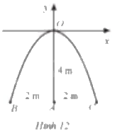 Giải bài 37 trang 73 sách bài tập toán 9 - Cánh diều tập 2 1