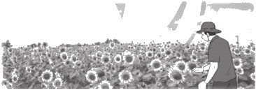 Giải bài 39: Luyện tập chung trang 94, 95, 96 vở bài tập Toán 5 - Cánh diều 9