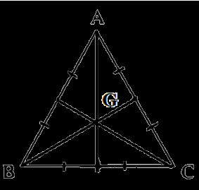 Giải bài 39 trang 92 SBT toán 10 - Cánh diều 2