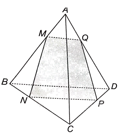 Giải bài 4.13 trang 59 sách bài tập toán 11 - Kết nối tri thức với cuộc sống 2