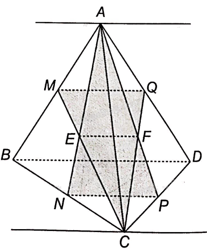 Giải bài 4.16 trang 59 sách bài tập toán 11 - Kết nối tri thức với cuộc sống 3