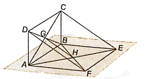 Giải bài 4.17 trang 59 sách bài tập toán 11 - Kết nối tri thức với cuộc sống 2