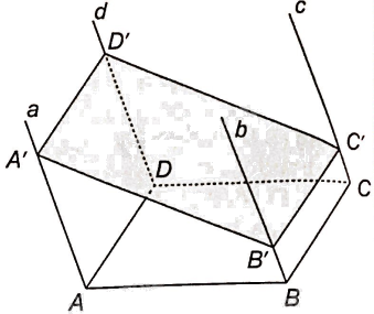 Giải bài 4.29 trang 67 sách bài tập toán 11 - Kết nối tri thức với cuộc sống 2