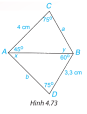 Giải bài 4.29 trang 86 SGK Toán 7 tập 1 - Kết nối tri thức 1
