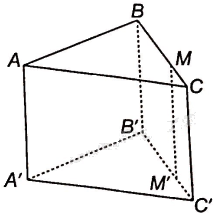 Giải bài 4.41 trang 71 sách bài tập toán 11 - Kết nối tri thức với cuộc sống 2