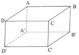 Giải bài 4.54 trang 72 sách bài tập toán 11 - Kết nối tri thức với cuộc sống 2