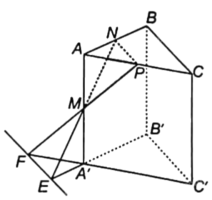 Giải bài 4.58 trang 73 sách bài tập toán 11 - Kết nối tri thức với cuộc sống 2