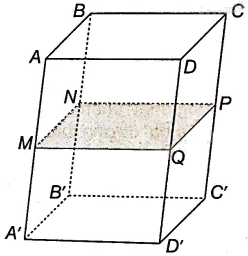Giải bài 4.62 trang 74 sách bài tập toán 11 - Kết nối tri thức với cuộc sống 2
