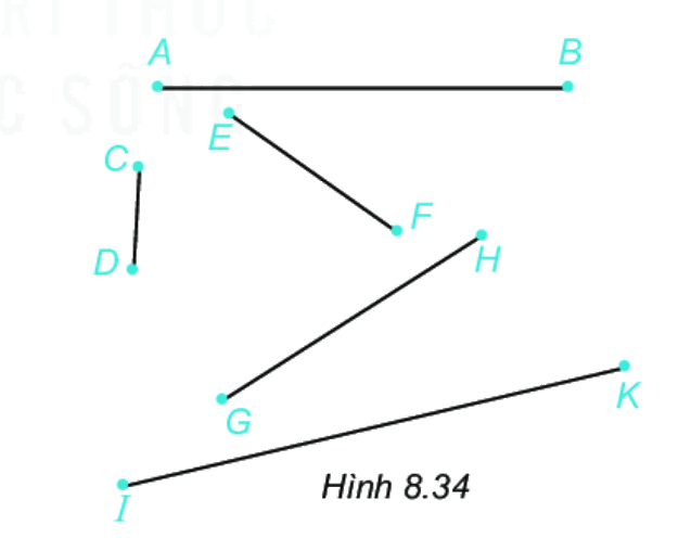 Giải bài 4 (8.13) trang 48 vở thực hành Toán 6 1