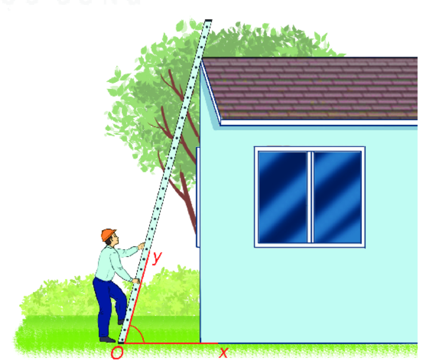 Giải bài 4 (8.38) trang 61 vở thực hành Toán 6 1