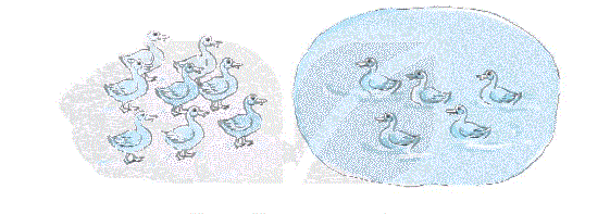 Giải bài 4: Hơn, kém nhau bao nhiêu (tiết 1) trang 18, 19 Vở bài tập Toán 2 - Kết nối tri thức với cuộc sống 0 1