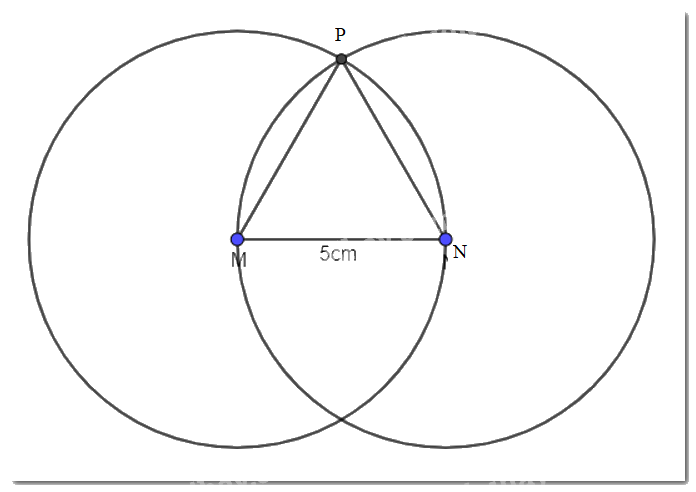 Giải Bài 4 trang 106 sách bài tập Toán 6 - Cánh diều 2