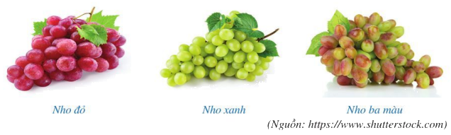 Giải bài 4 trang 45 SGK Toán 7 tập 2 - Cánh diều 1