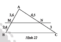 Giải bài 4 trang 50 SGK Toán 8 tập 2– Chân trời sáng tạo 1
