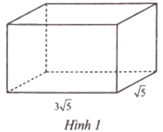 Giải bài 4 trang 51 sách bài tập toán 9 - Chân trời sáng tạo tập 1 1