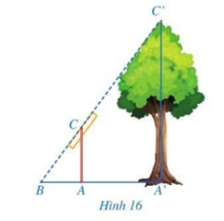 Giải bài 4 trang 57 SGK Toán 8 – Cánh diều 1