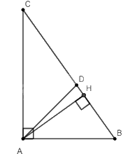 Giải bài 4 trang 57 SGK Toán 8 tập 2– Chân trời sáng tạo 2