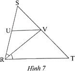 Giải bài 4 trang 59 sách bài tập toán 8 - Chân trời sáng tạo tập 2 1
