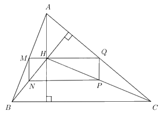 Giải bài 4 trang 65 SGK Toán 8 – Cánh diều 2