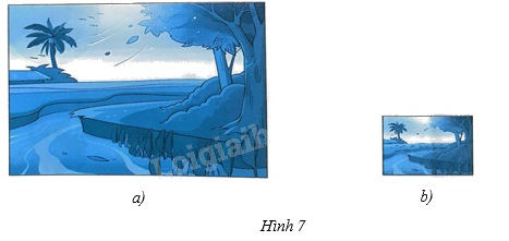 Giải bài 4 trang 72 sách bài tập toán 8 - Chân trời sáng tạo tập 2 1