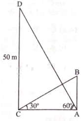 Giải bài 4 trang 72 sách bài tập toán 9 - Chân trời sáng tạo tập 1 3