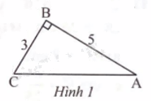 Giải bài 4 trang 73 sách bài tập toán 9 - Chân trời sáng tạo tập 1 1