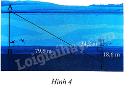 Giải bài 4 trang 74 sách bài tập toán 8 - Chân trời sáng tạo tập 2 1
