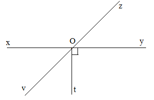 Giải bài 4 trang 75 SGK Toán 7 tập 1 - Chân trời sáng tạo 2