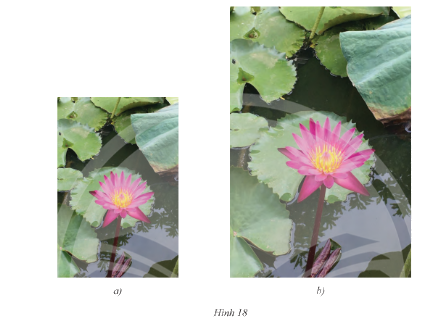 Giải bài 4 trang 83 SGK Toán 8 tập 2– Chân trời sáng tạo 1