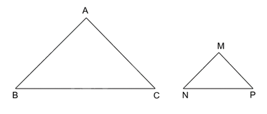 Giải bài 4 trang 84 vở thực hành Toán 8 tập 2 1
