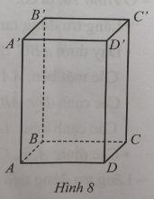Giải Bài 4 trang 87 sách bài tập toán 7 tập 1 - Cánh diều 1