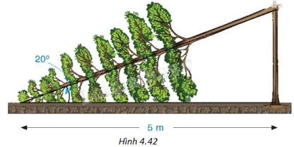 Giải bài 4 trang 92 vở thực hành Toán 9 1