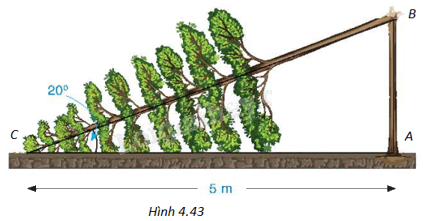 Giải bài 4 trang 92 vở thực hành Toán 9 3