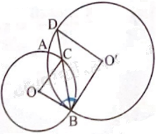Giải bài 4 trang 93 sách bài tập toán 9 - Chân trời sáng tạo tập 1 2