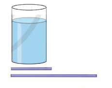 Giải bài 4 trang 99 SGK Toán 7 tập 2 - Cánh diều 1