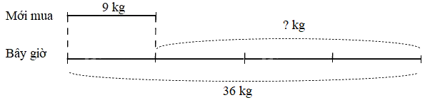 Giải bài 40: Luyện tập chung (tiết 2) trang 101 vở bài tập Toán 3 - Kết nối tri thức với cuộc sống 2